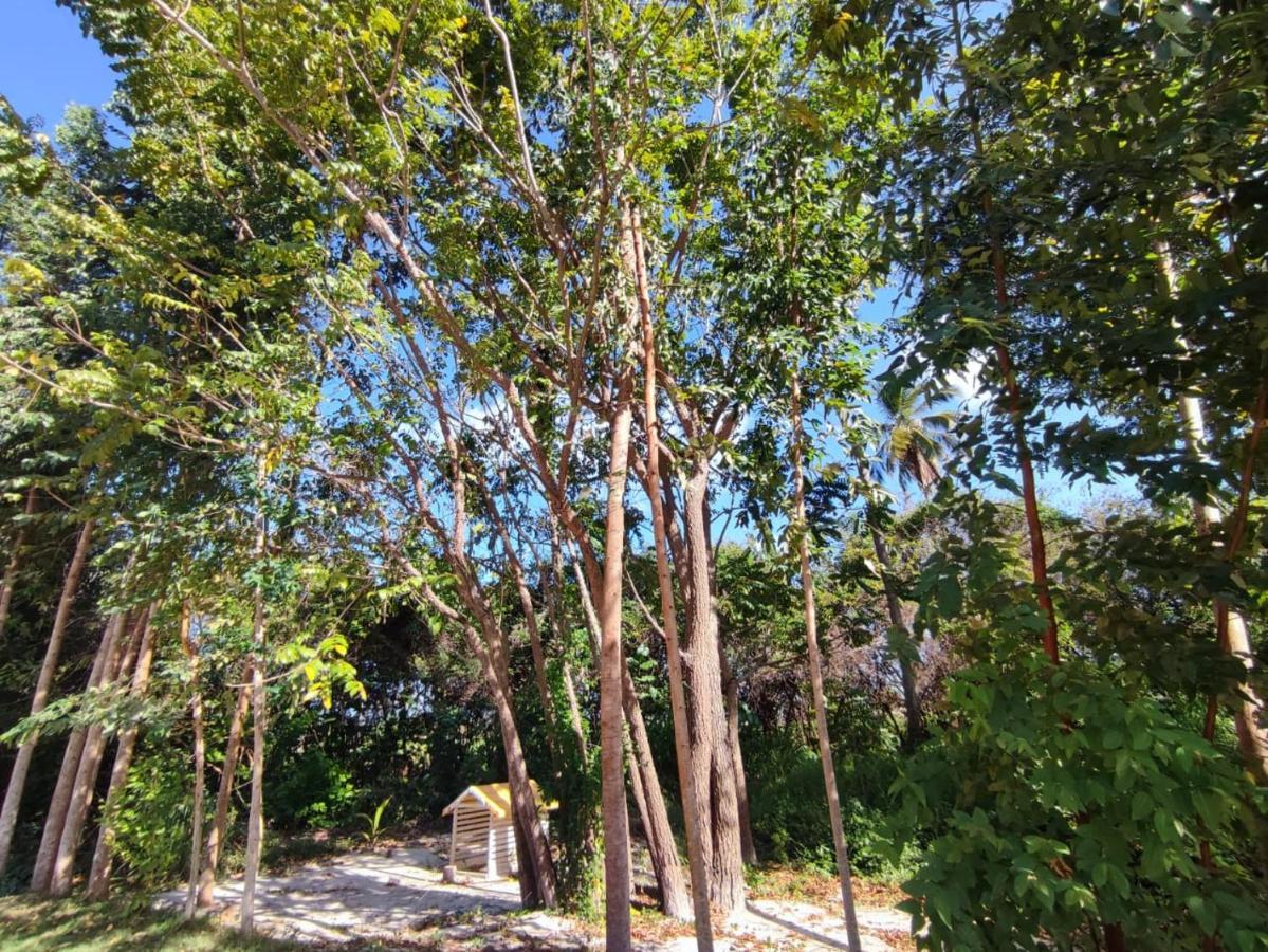 Casa Nova 2 Villa Sao Jose da Coroa Grande Luaran gambar